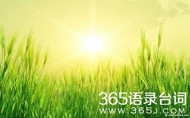 实现生活，提高收成和成长