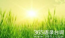 动手感悟生活，改进收获成长