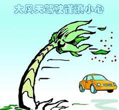 在大风中感动