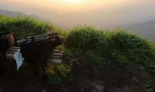 带上泥土去旅行