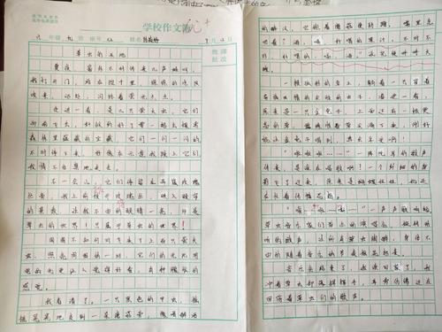 乡村模仿草虫