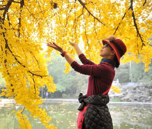 与老牛同行
