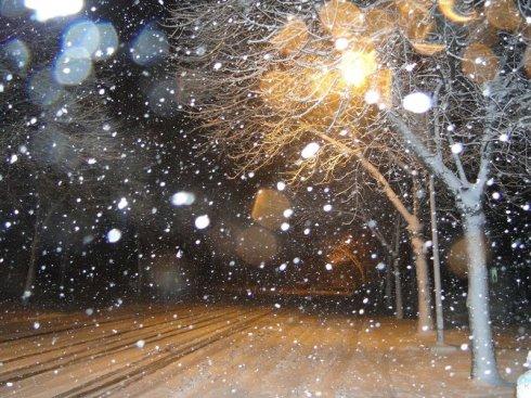 难忘的下雪夜