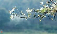 不负春光，惬意行