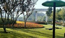 我爱家乡的早晨