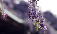 记忆中的一抹温馨