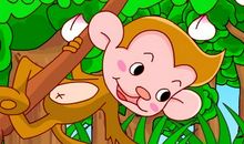 我们班的“小猴子”