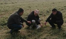 品读野草让我坚强