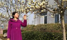 捡拾记忆的珍珠