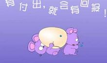 付出了，才有回报