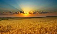 田野，就该有田野的模样