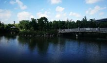 黄海森林公园游记