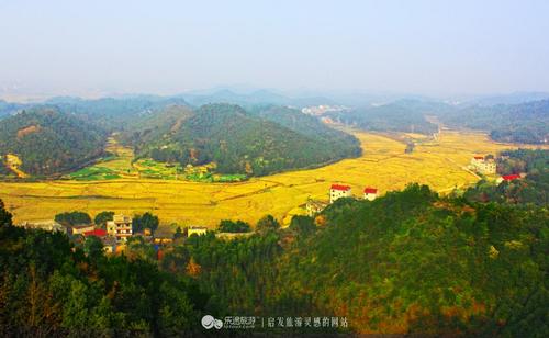 陶醉于乡村