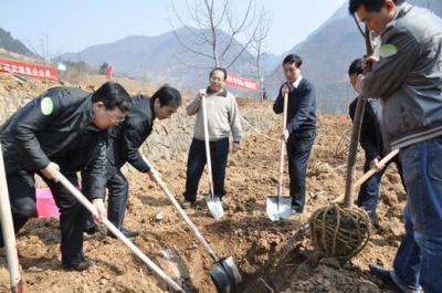 植树练习活动