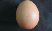 鸡蛋浮起的秘密