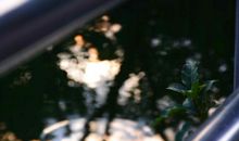 守住心中一把尺