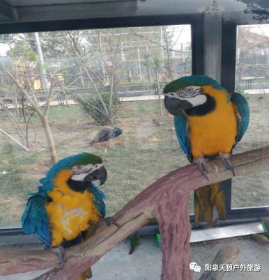 前往绿溪谷的水上公园