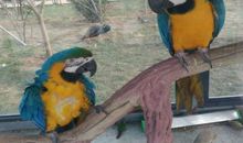 去绿溪谷的水上乐园