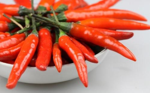 非凡的Pepper_550字