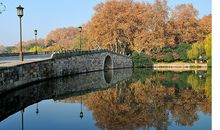 那别样的美常在我心田