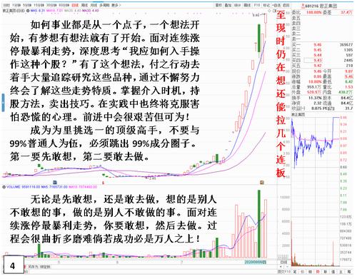 理想=要疯狂，明智地做
