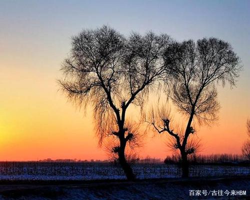 归乡