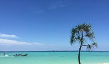 奇妙的外星旅行