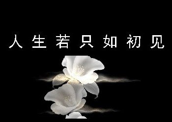 所谓的爱是什么