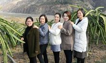 我眼中的脱贫攻坚