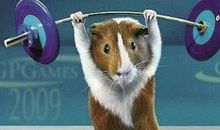 动物参加奥运会