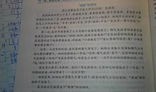 乡村四季作文五年级