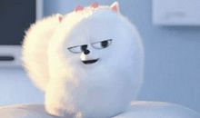 观《宠物大机密2》有感