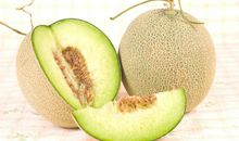 我最喜欢的哈密瓜