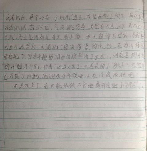 关于狗的叙事