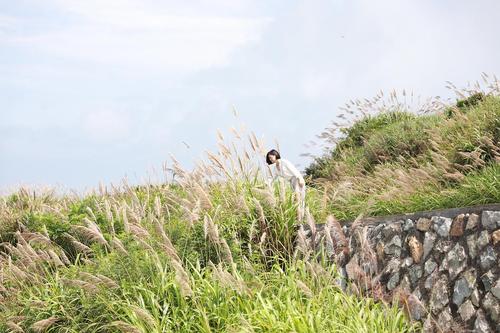 生活的芦苇