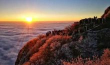 您是我心中一抹阳光