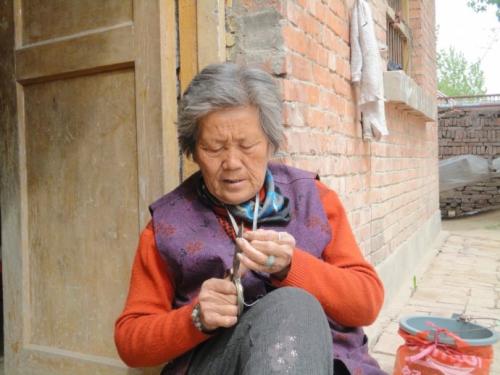 母亲的白发不老