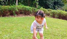 竹林清浅，桂子飘香远