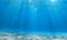 我真的感到幸运