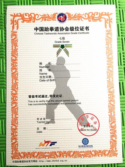 跆拳道考试