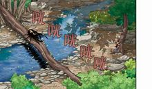 热带雨林历险记