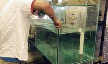 惊心动魄的800米赛跑