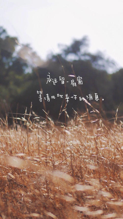 总有一个窗户在等你