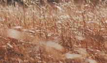 总有一扇窗等着你