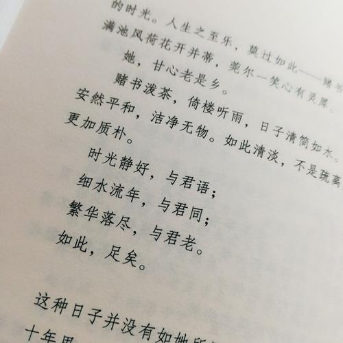 李清照诗歌的思考