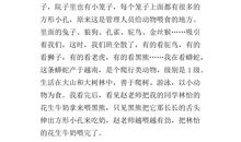 小小动物园600字作文