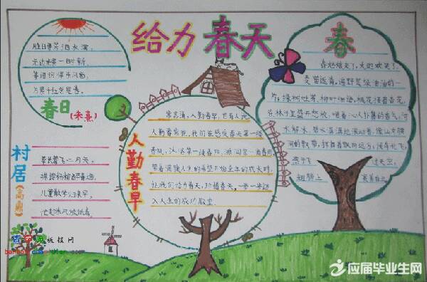 我爱春天的星星