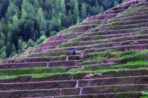 梦在山脊上的后果
