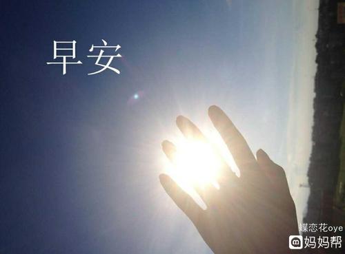 母亲的光