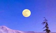 因为理解所以尊重